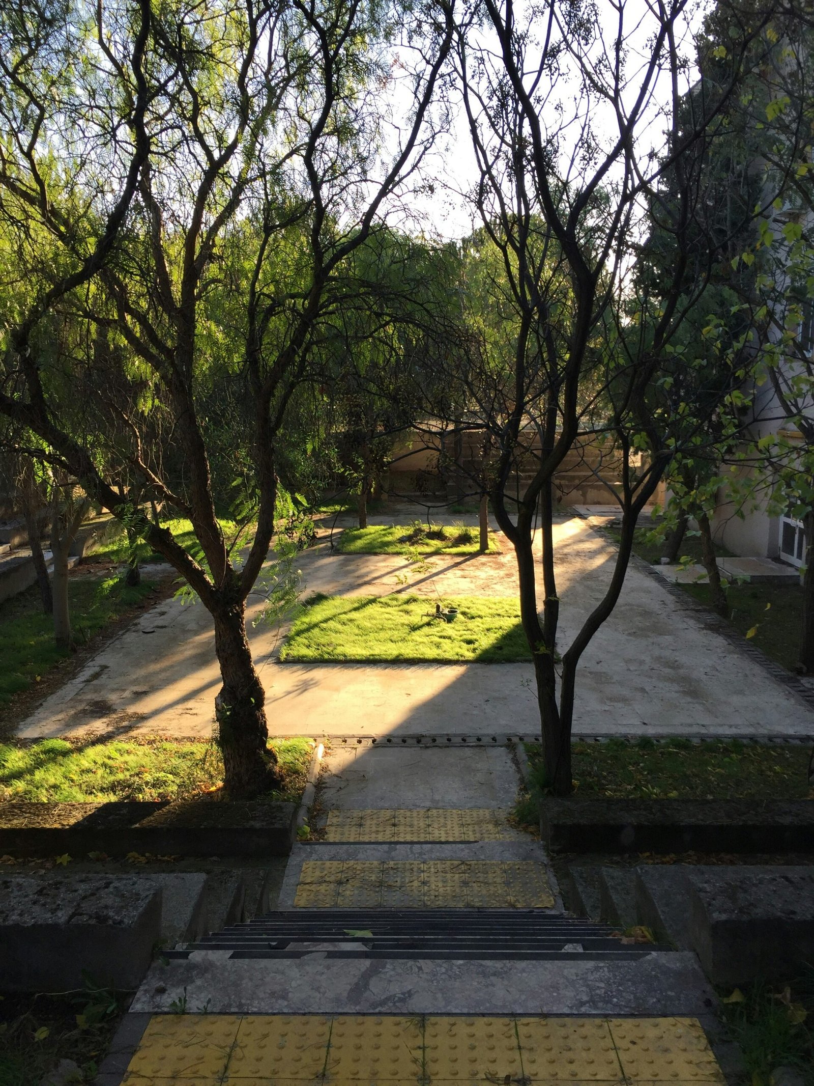 a view of a park with trees and a bench